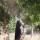 siyana_713