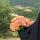 amvlam_