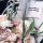 nastya_ting