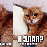 Дина Калинина
