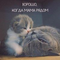 mama-iman