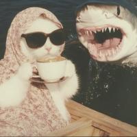 🤰🏼🤰🏼🤰🏼