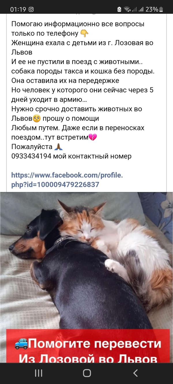 post image