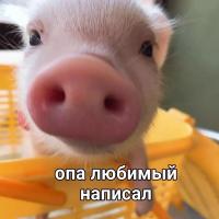 Hanna