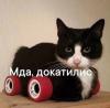 стикер