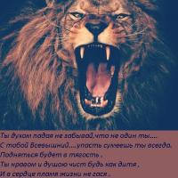 Амина