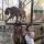 mark.7nazarov
