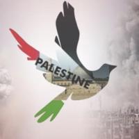 freepalestina