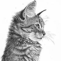 Катя