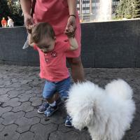 Карина
