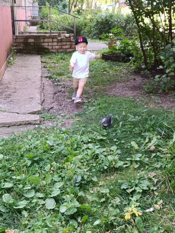 post image 5