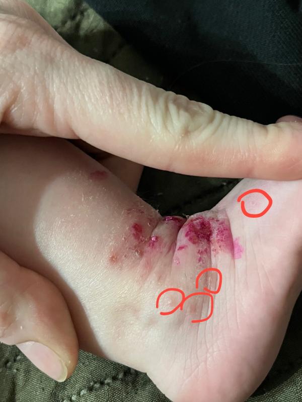 post image 3