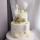 TOPCAKE_RND Анастасия 