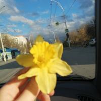 Вероника 