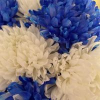 Александра