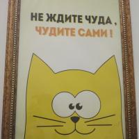 Таня 👮🏼‍♀️