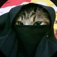Ummhamza