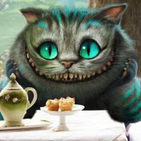 Cheshire cat 🐈‍⬛