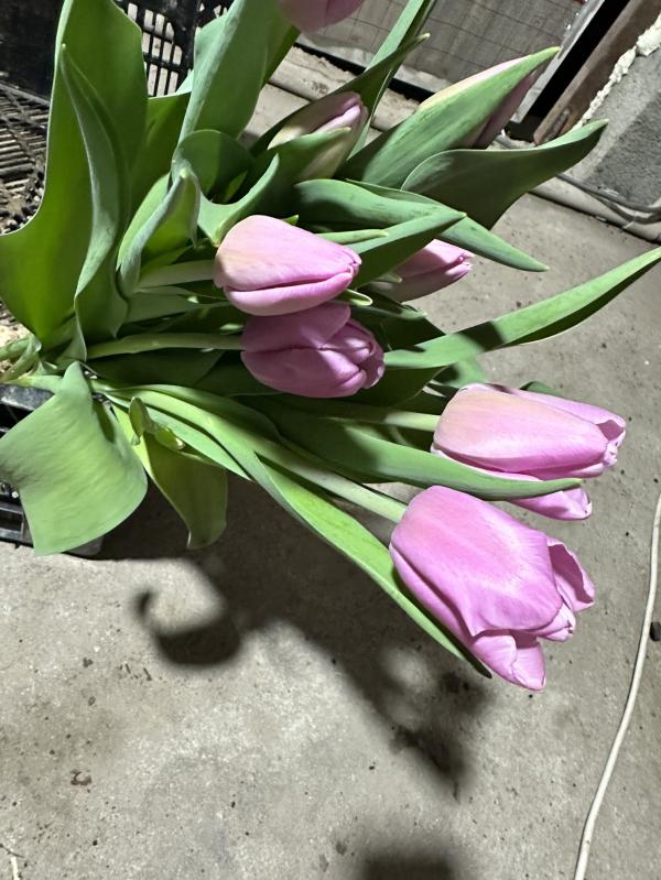 post image 4
