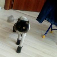 Didi