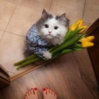 Анна