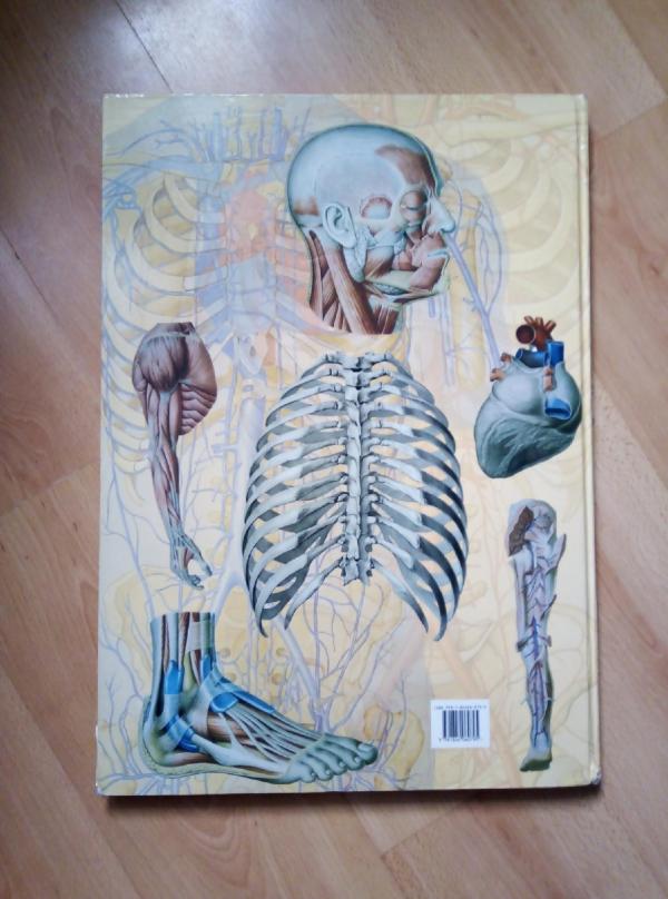 post image 5