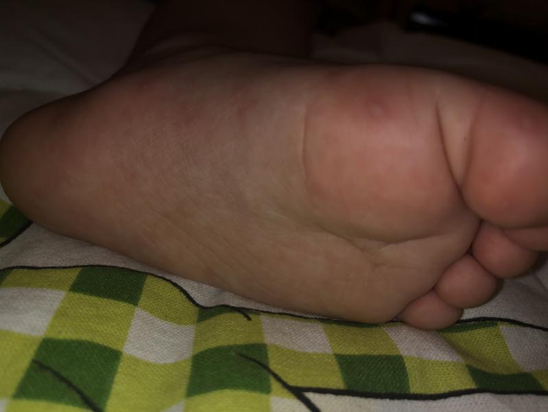 post image 4