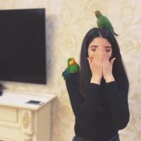 ulduz
