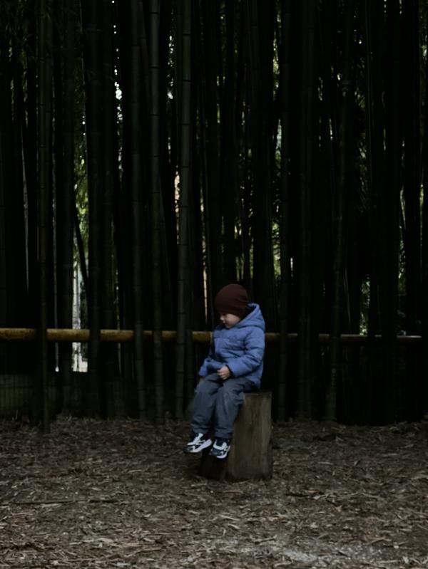 post image 5