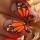 nailmaster123