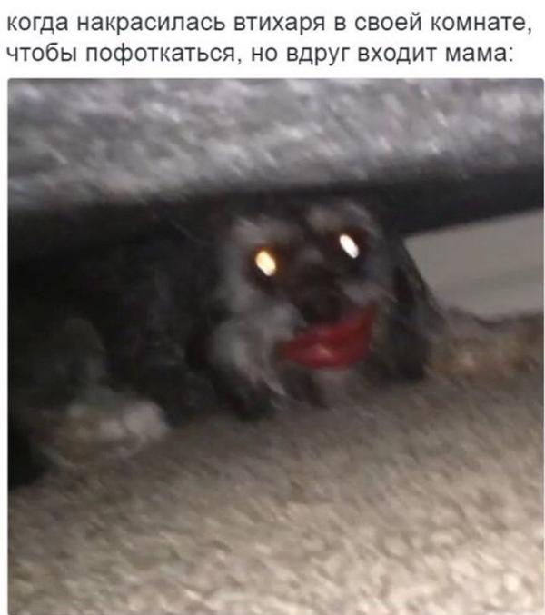 post image