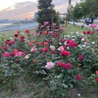 Заира
