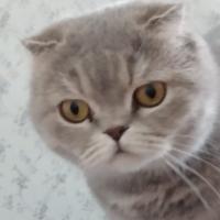 Лера 