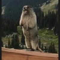 Ася