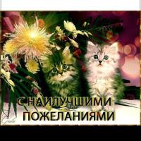 эля