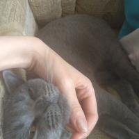 Наталья Кузнецова