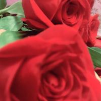 М🌹А🌹sss