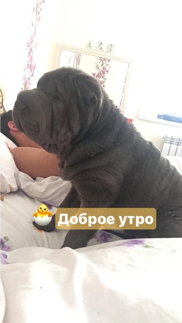 post image