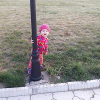 Анека