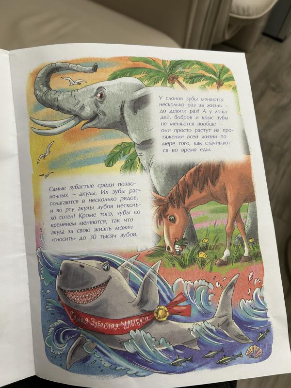 post image 5