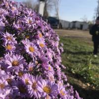 Кристина 