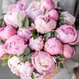 💓