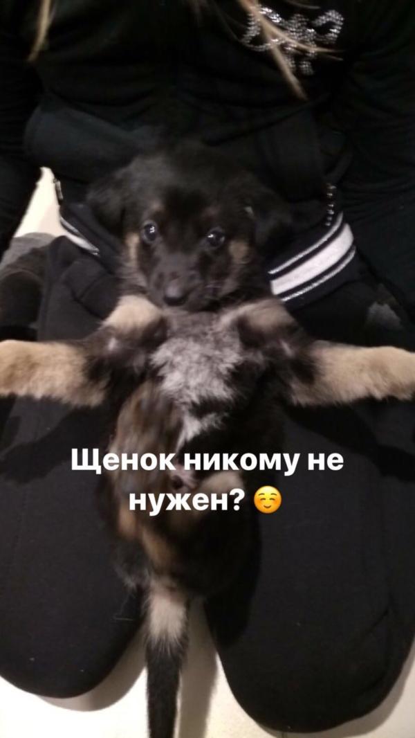 post image 1