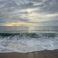 Kalashnikova Anastasiia