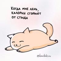 Арина