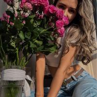 🌸🌸🌸🌸🌸
