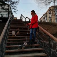 Алиса