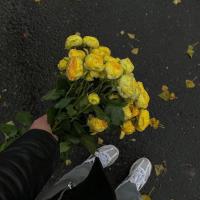 Марина