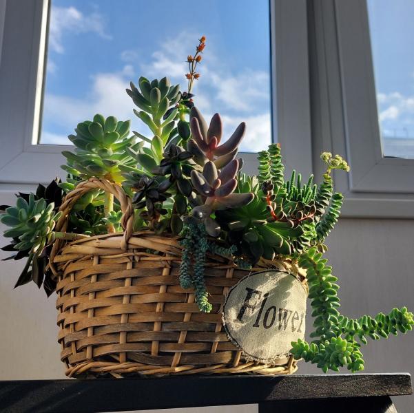 post image 4