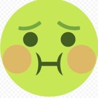 Mr.Green